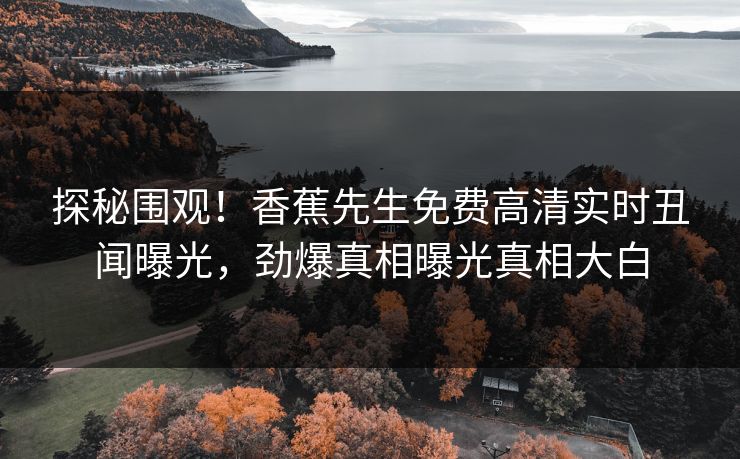 探秘围观！香蕉先生免费高清实时丑闻曝光，劲爆真相曝光真相大白  第1张